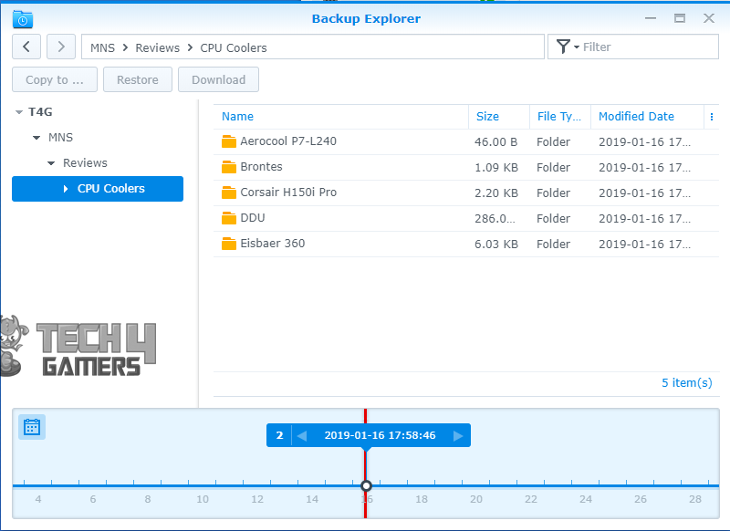 synology 218+ backup explorer 