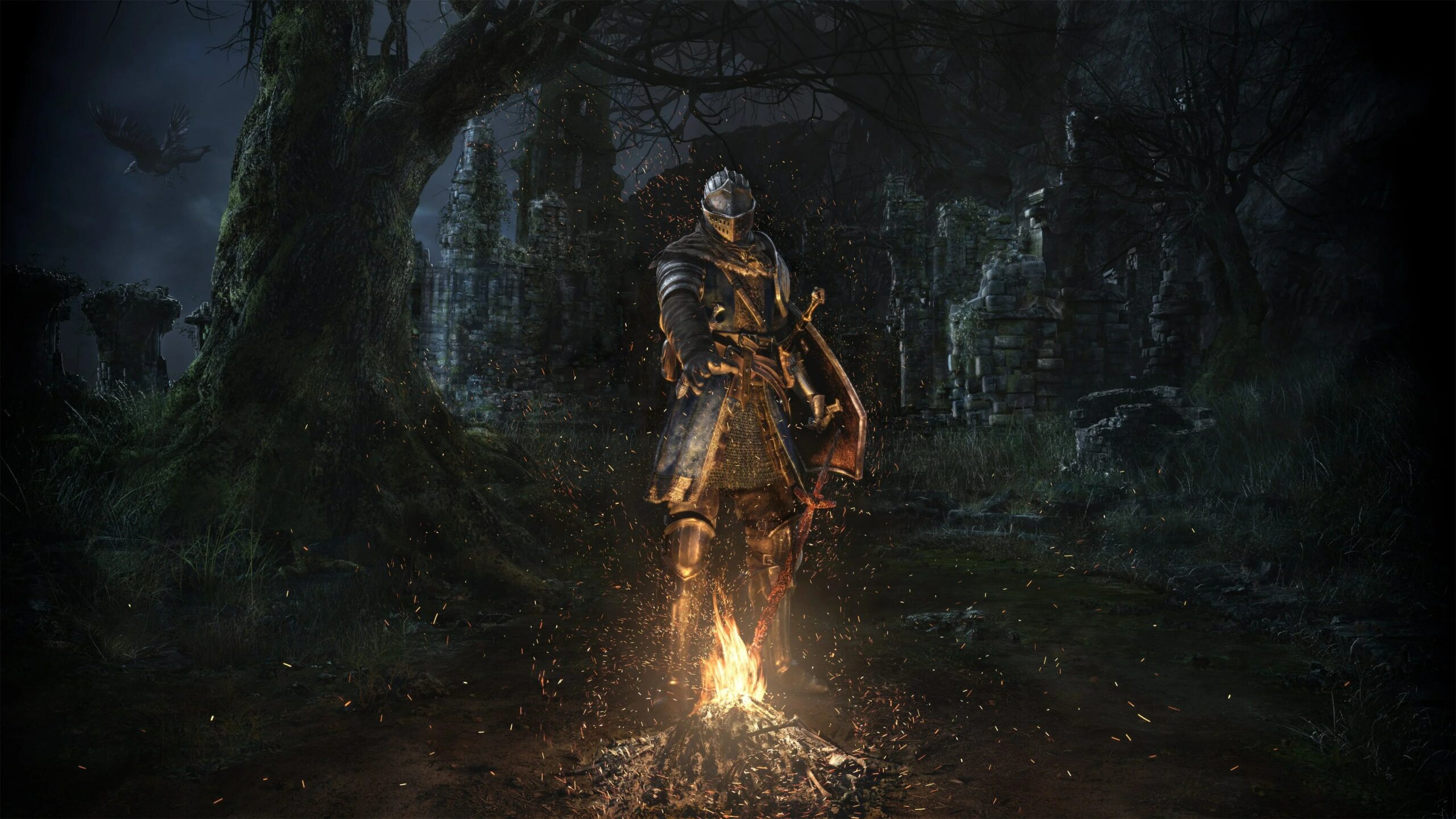 Dark Souls FromSoftware