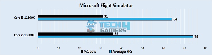 Microsoft Flight Simulator