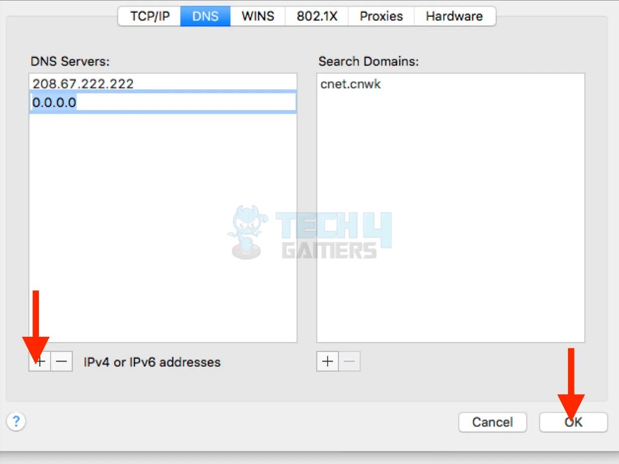 Add DNS Mac addresses