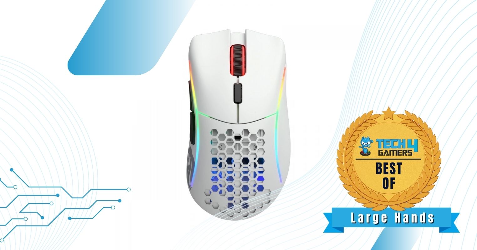 Glorious Model D Minus - Best fingertip grip mouse for large hands