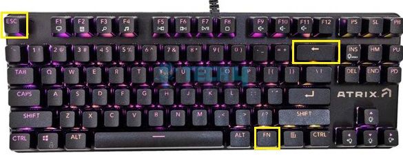 Backspace And Esc Keys