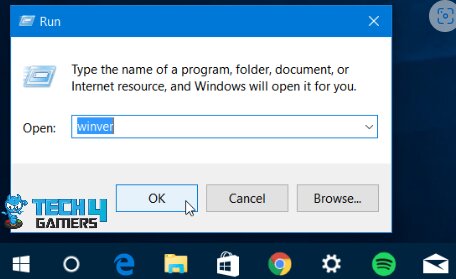 winver image windows 10