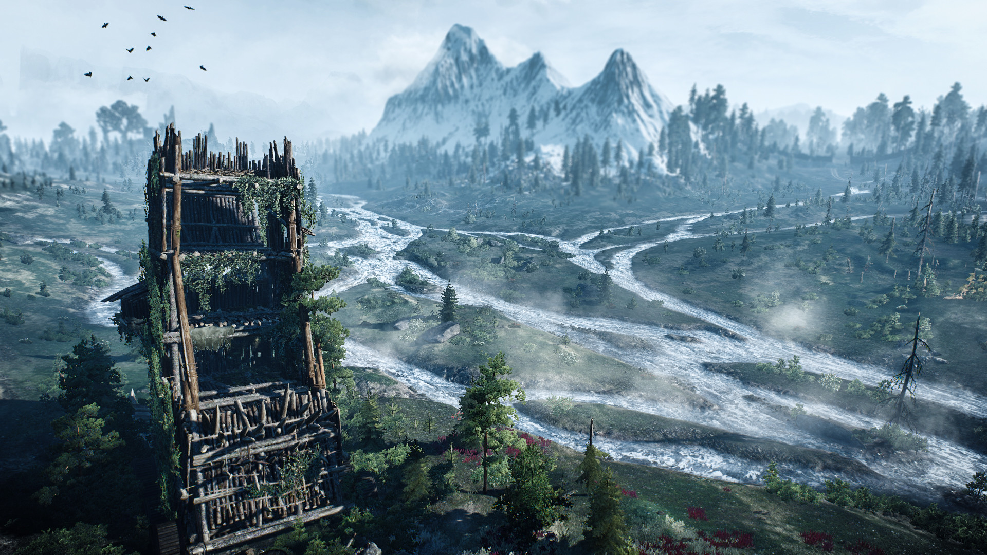 Skellige Witcher 3