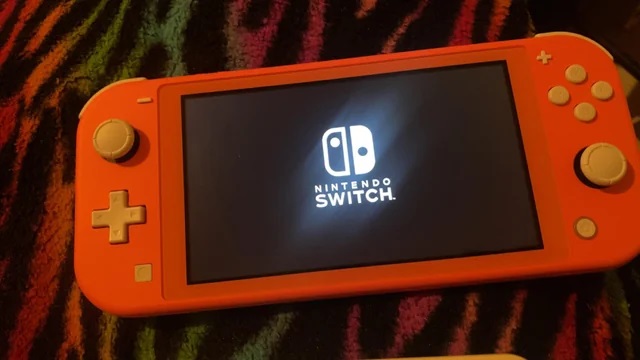 Nintendo Switch Lite