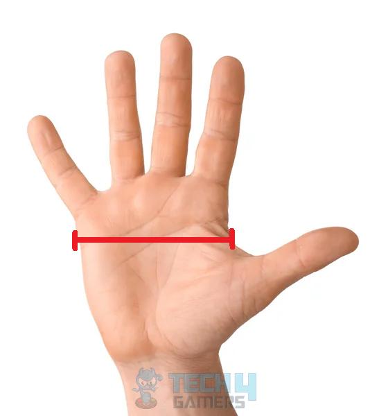 Measure Hand Width