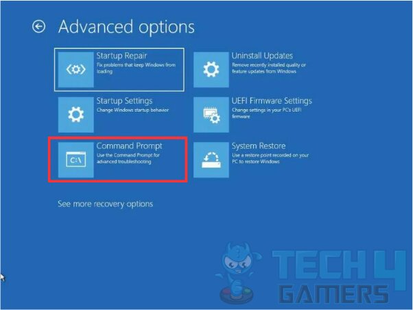 Advanced options highlighting command prompt