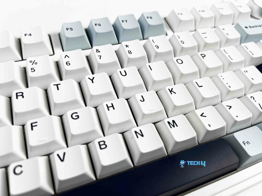 Keycaps (Image By Tech4Gamers)