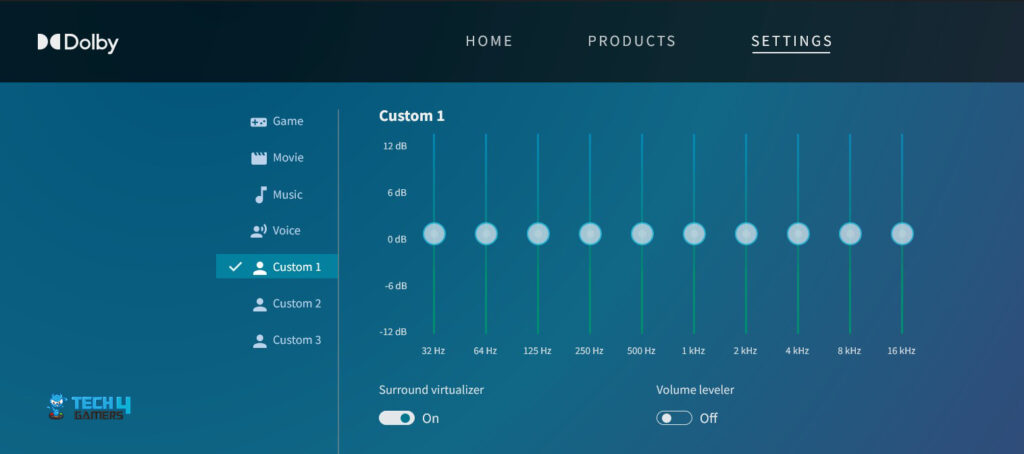 Headset Settings (Image By Tech4Gamers)